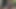 ウェブカメラカップル
