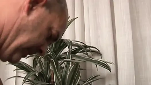 Грязный старик шпилю сладкую и невинную тинку