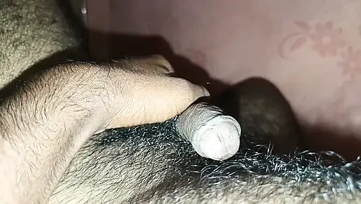 family doydtod