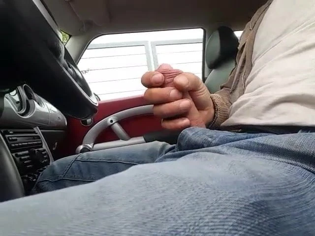 Im Auto gewichst