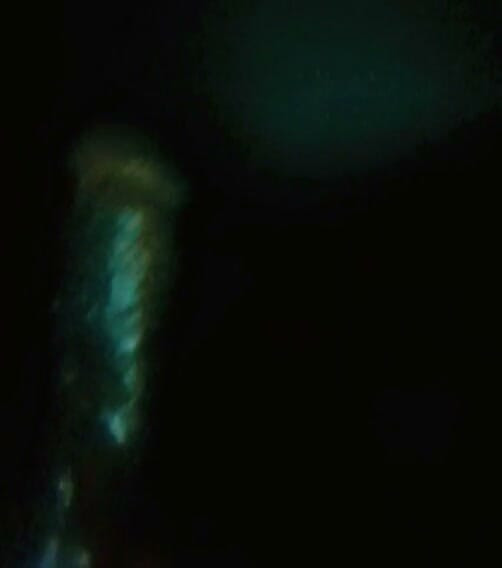 Big cock oil shake