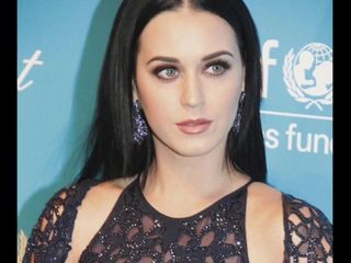 Hołd Katy Perry 11