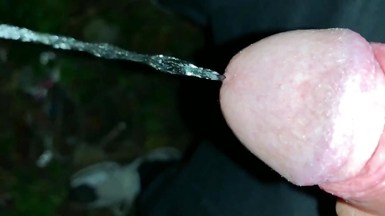 Ağır çekim ve yakın çekim. Açık havada yıkanmamış yarak işiyor. Long Piss Stream