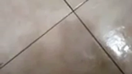 Testing