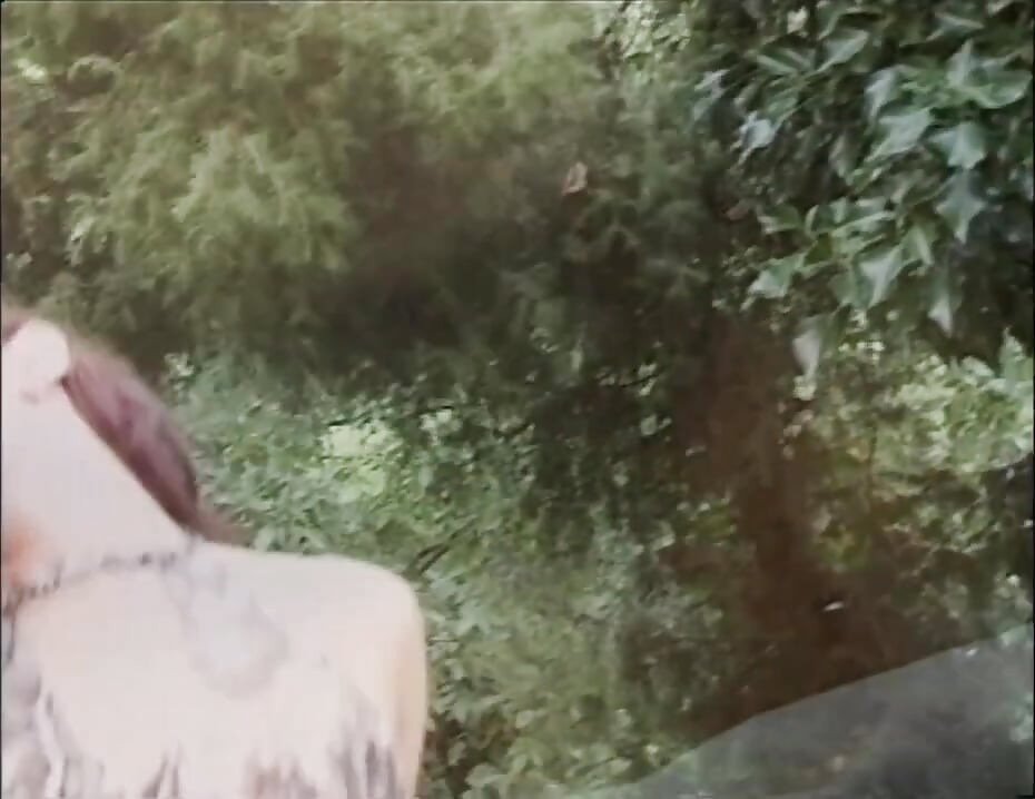 Sucking licking fingering big ass fucking in the forest