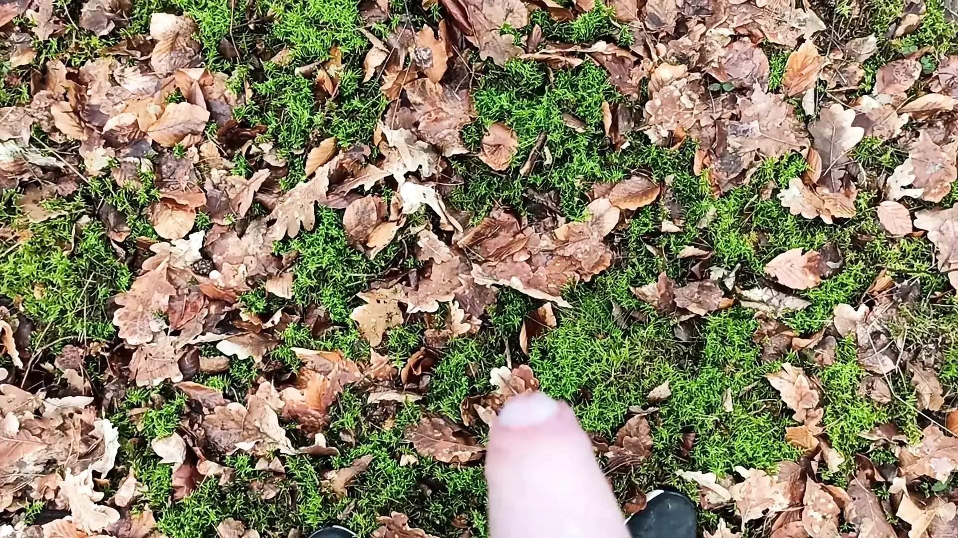 Uită-te la pula mea crescând în pădure