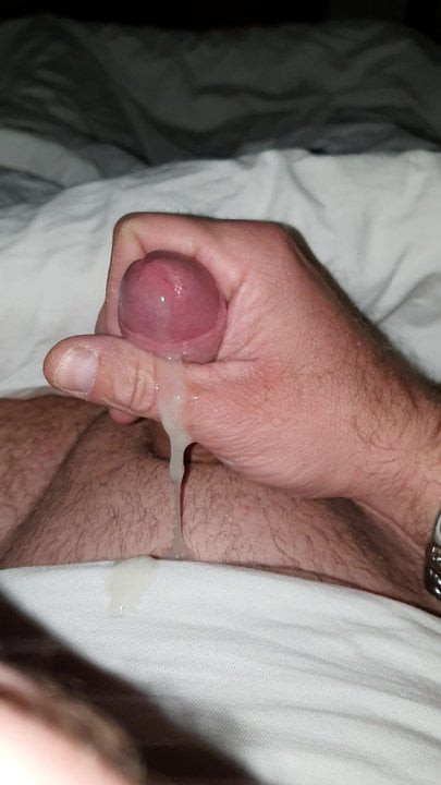 full wix