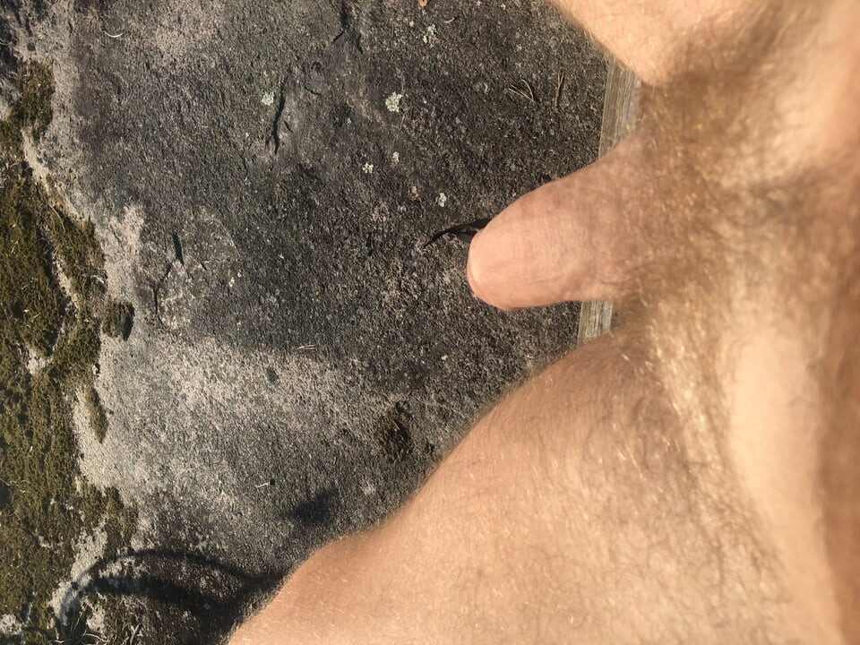 norgonrunk