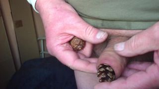Foreskin with pine cones