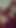 FDTV: August 2021