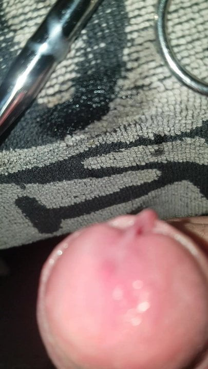 sounding cock close-up cumshot