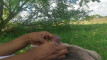 Pregled videozapisa