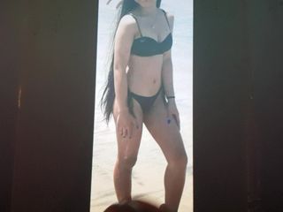 Cumtribute SoP requested by Tributing-My-Meat