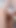Porno Dünyasının Utangaç Fatihleri