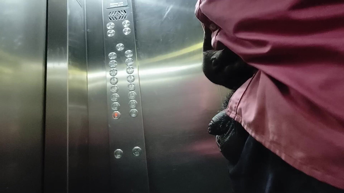 lift playing