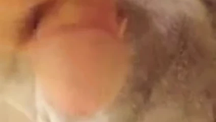 Morning jerk
