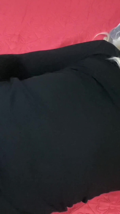 Trans Slut Masturbates and Cums on Webcam