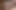 Hot Cumshot Compilation Porn Video of Black Cock Jerking off and Cumming on SSBBW Big Fat Pussy, Huge Ass, Tits and Panties