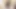 Amateur Porn Bitch Urinated on the Floor and Wants Her Pussy Licked