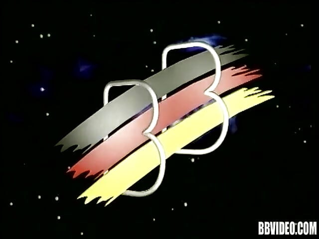 숲 꿀벌 - DVD