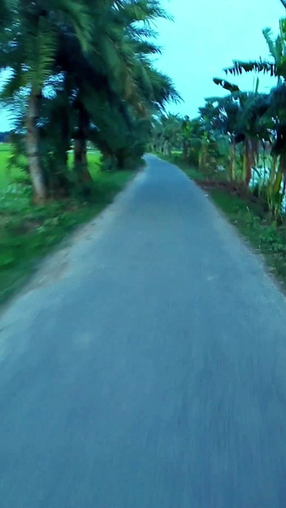 Nice scenery