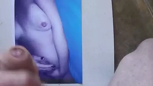 picanacam için haraç