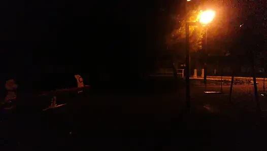 Istri seksiku nyepong kontolku di taman!