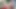 Ateşli travesti Bianca Reis açgözlü götüne dildo sokuyor