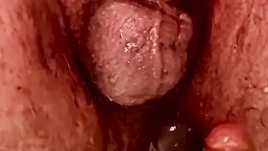 Exploratio erotica ursi BravoXray7 Brokk