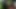 Desi Indian girl blowjob in jungle