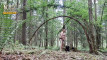 Pratinjau video