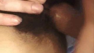 Peludo amateur