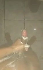 Pauzudo no banho