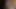 BAD BUNNY BABY BAISE AVEC UN NOUVEAU PETIT AMI