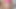 Hot Trans Dick 84