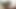 See my cock 03