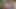 Bhabhi and davor - full sex video indian,