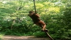 Tarzan x (edizione completa hd)