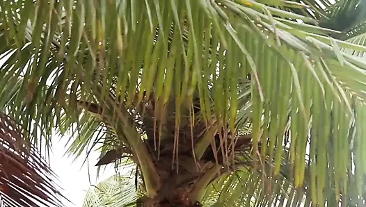 Regininha Gaucha wants a nice cock in the ass!