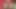 Profesyonel olarak seksi esmer nasıl sikiliyor