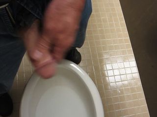 सार्वजनिक शौचालय