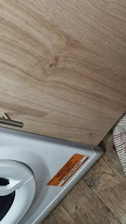 やあフォックス、君の目と指の演奏が恋しかったよ