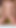 Epik an "Şimdiye kadarki en çılgın porno film - ne bir kedi"