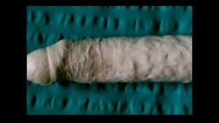 My real Cock Dildo4u