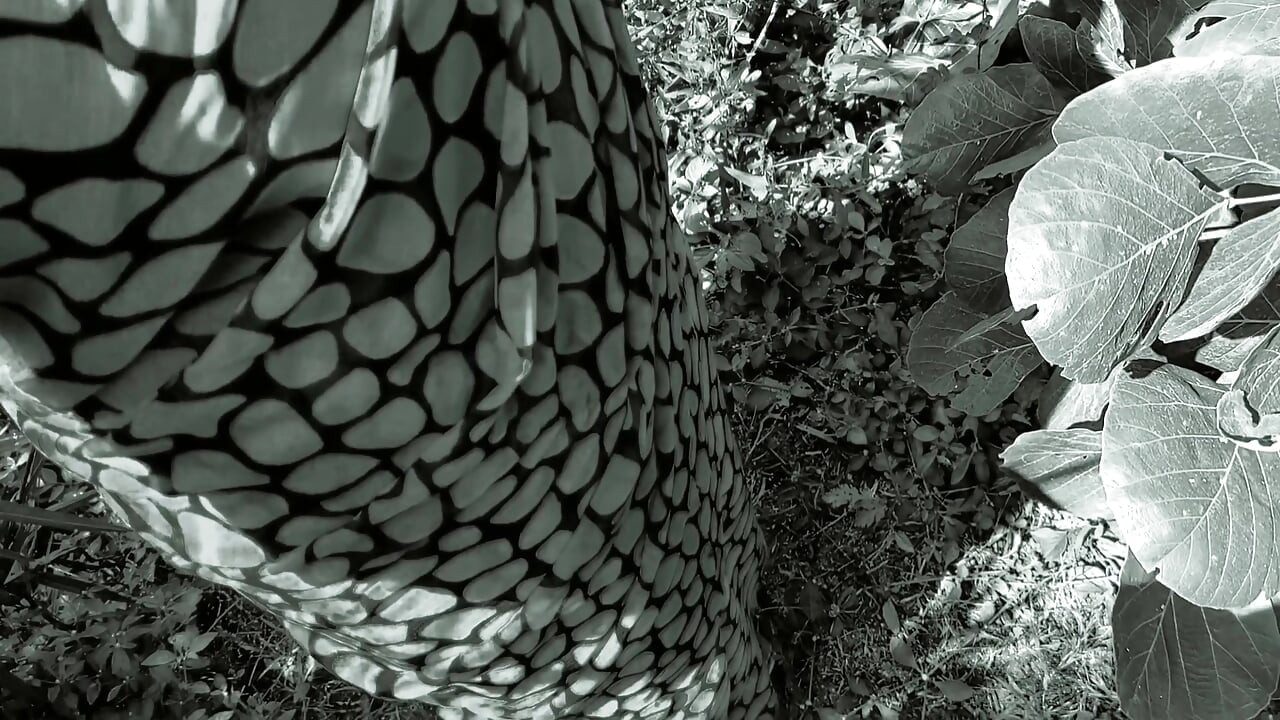 热辣阿姨在森林狗式操逼