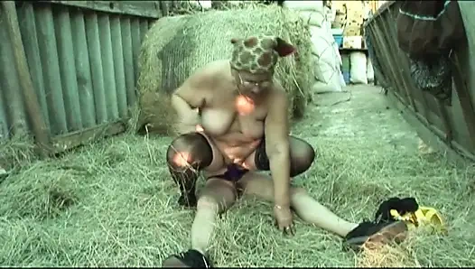 Fahişe Domuz Orhidea (film)