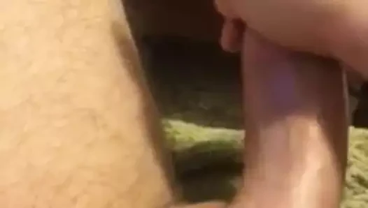 kriko benim horoz