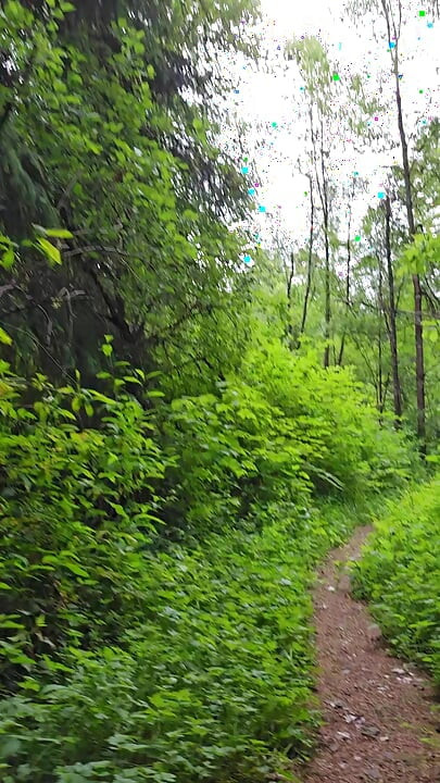 sambil bugil di jalan