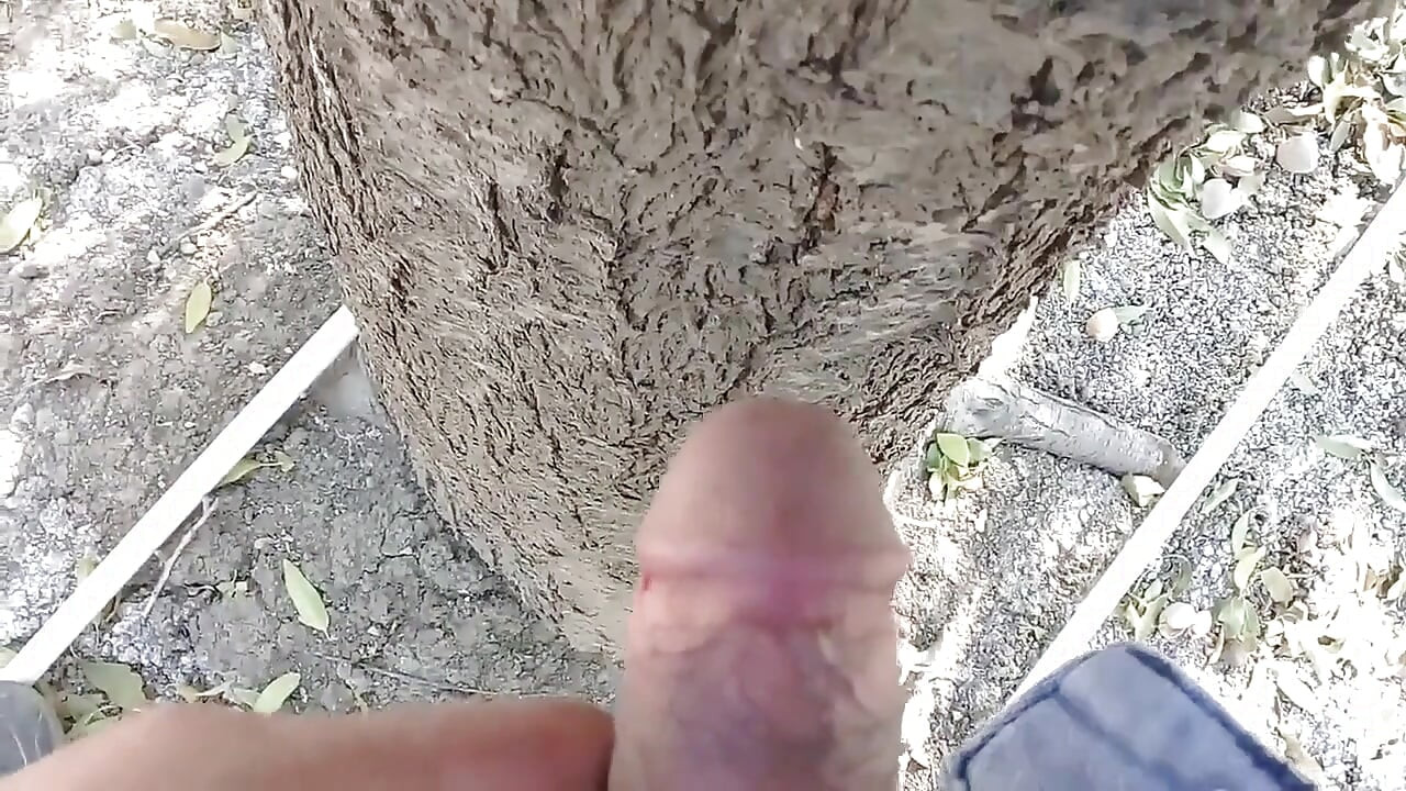 Prelepa mlada studentkinja se jebe na putu, imaju je na sve četiri