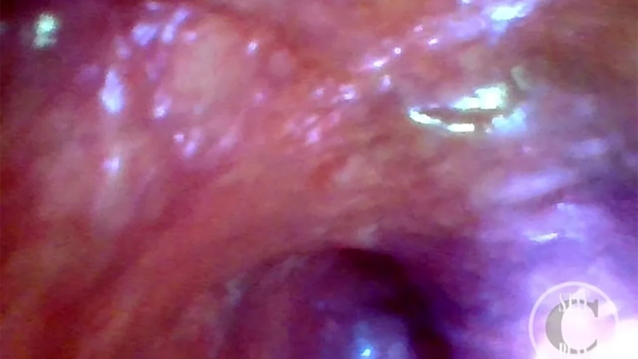 第一人称视角 极端深度探索！快速可见的心跳 